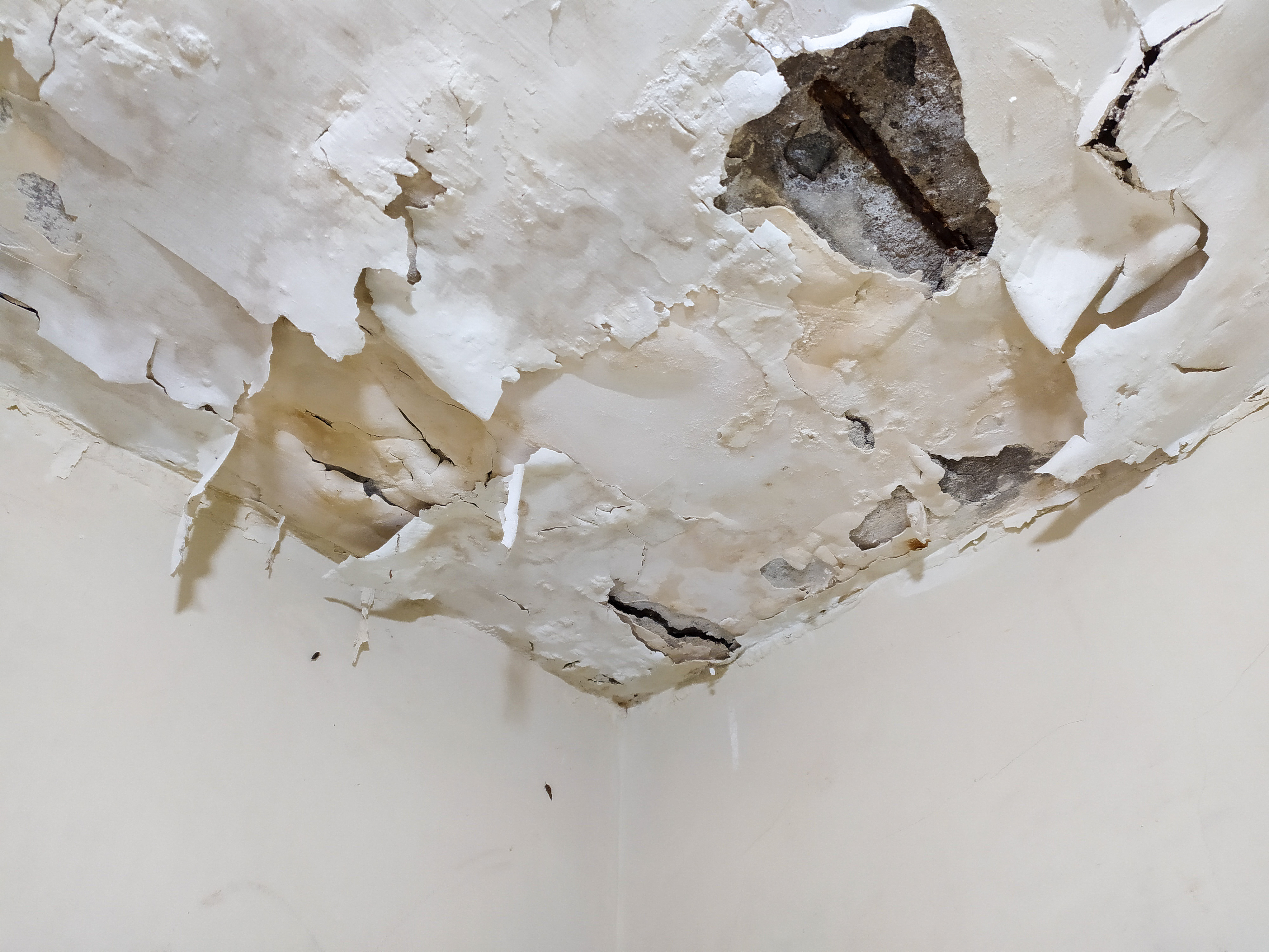 GeoBrix Water Damage Restoration project in North New Jersey