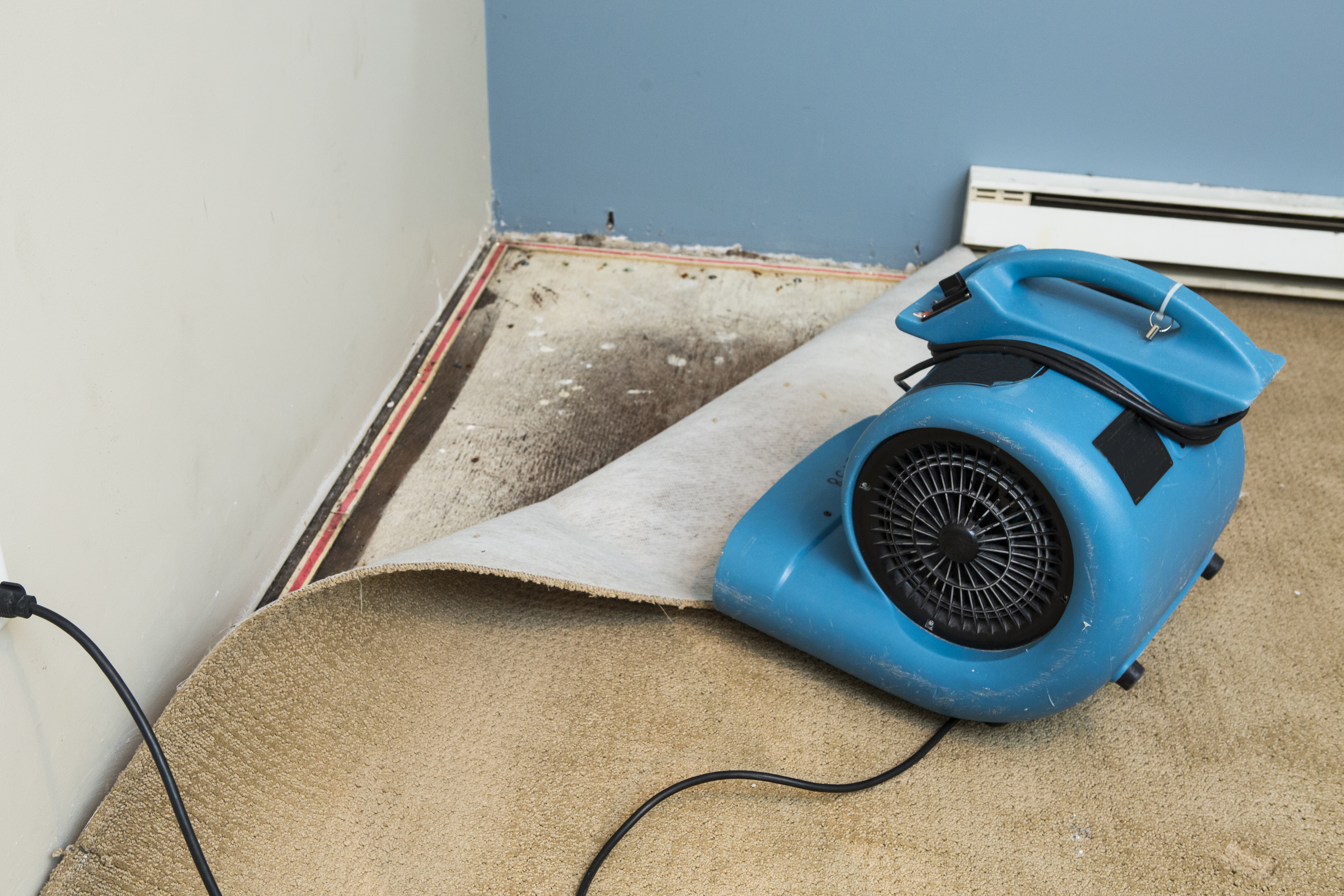GeoBrix Water Damage Restoration project in North New Jersey