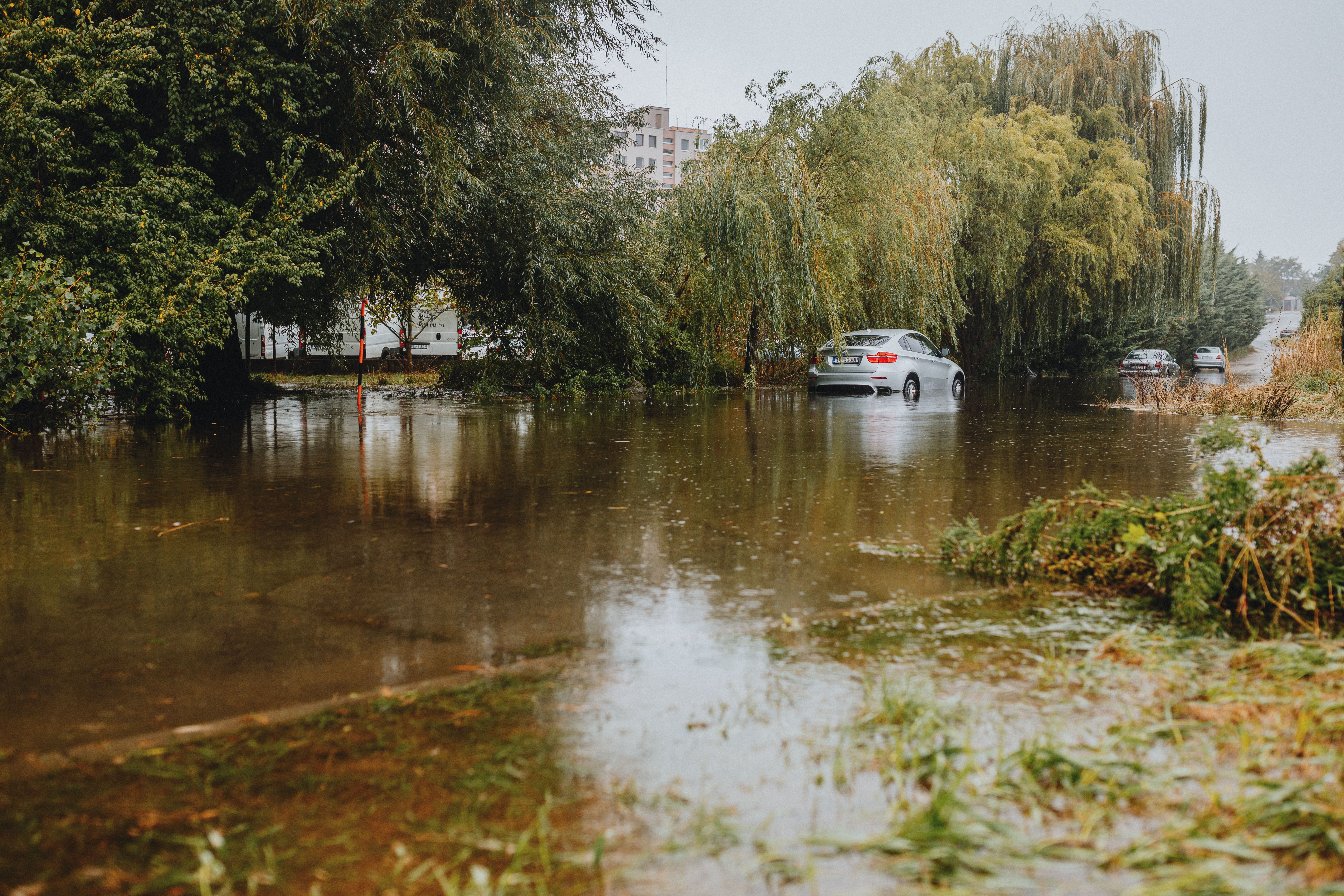 GeoBrix Water Damage Restoration project in North New Jersey